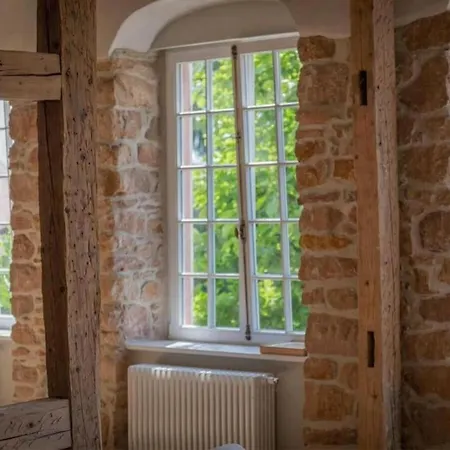 Jardin De L'abbaye Charming House 4 Adults 2 Kids Apartamento Andlau-au-Val