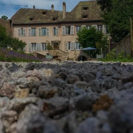 Jardin De L'abbaye Charming House * Andlau-au-Val