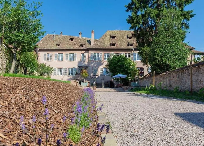 Apartamento Jardin De L'abbaye Charming House 4 Adults 2 Kids Andlau-au-Val