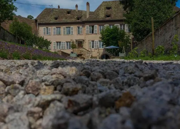 Jardin De L'abbaye Charming House 4 Adults 2 Kids * Andlau-au-Val